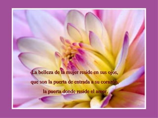 La belleza de la mujer reside en sus ojos, que son la puerta de entrada a su corazón, la puerta donde reside el amor. 
