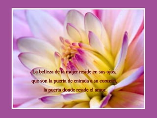 La belleza de la mujer reside en sus ojos, que son la puerta de entrada a su corazón, la puerta donde reside el amor. 