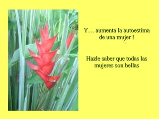 Y… aumenta la autoestima de una mujer ! Hazle saber que todas las mujeres son bellas 