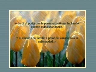 « Le dí el poder que le permite continuar luchando cuando todos abandonan. Y el cuidar a su familia a pesar del cansancio o la enfermedad. » 