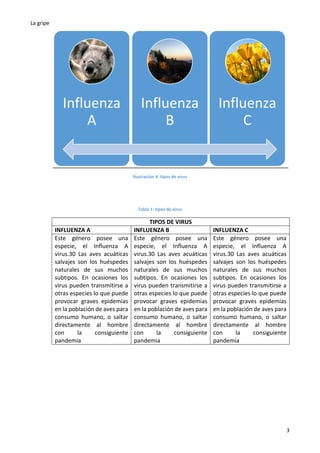 La gripe
3
Ilustración 4: tipos de virus
Tabla 1: tipos de virus
TIPOS DE VIRUS
INFLUENZA A INFLUENZA B INFLUENZA C
Este género posee una
especie, el Influenza A
virus.30 Las aves acuáticas
salvajes son los huéspedes
naturales de sus muchos
subtipos. En ocasiones los
virus pueden transmitirse a
otras especies lo que puede
provocar graves epidemias
en la población de aves para
consumo humano, o saltar
directamente al hombre
con la consiguiente
pandemia
Este género posee una
especie, el Influenza A
virus.30 Las aves acuáticas
salvajes son los huéspedes
naturales de sus muchos
subtipos. En ocasiones los
virus pueden transmitirse a
otras especies lo que puede
provocar graves epidemias
en la población de aves para
consumo humano, o saltar
directamente al hombre
con la consiguiente
pandemia
Este género posee una
especie, el Influenza A
virus.30 Las aves acuáticas
salvajes son los huéspedes
naturales de sus muchos
subtipos. En ocasiones los
virus pueden transmitirse a
otras especies lo que puede
provocar graves epidemias
en la población de aves para
consumo humano, o saltar
directamente al hombre
con la consiguiente
pandemia
Influenza
A
Influenza
B
Influenza
C
 