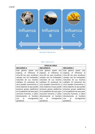 La gripe
3
Ilustración 4: tipos de virus
Tabla 1: tipos de virus
TIPOS DE VIRUS
INFLUENZA A INFLUENZA B INFLUENZA C
Este género posee una
especie, el Influenza A
virus.30 Las aves acuáticas
salvajes son los huéspedes
naturales de sus muchos
subtipos. En ocasiones los
virus pueden transmitirse a
otras especies lo que puede
provocar graves epidemias
en la población de aves para
consumo humano, o saltar
directamente al hombre
con la consiguiente
pandemia
Este género posee una
especie, el Influenza A
virus.30 Las aves acuáticas
salvajes son los huéspedes
naturales de sus muchos
subtipos. En ocasiones los
virus pueden transmitirse a
otras especies lo que puede
provocar graves epidemias
en la población de aves para
consumo humano, o saltar
directamente al hombre
con la consiguiente
pandemia
Este género posee una
especie, el Influenza A
virus.30 Las aves acuáticas
salvajes son los huéspedes
naturales de sus muchos
subtipos. En ocasiones los
virus pueden transmitirse a
otras especies lo que puede
provocar graves epidemias
en la población de aves para
consumo humano, o saltar
directamente al hombre
con la consiguiente
pandemia
Influenza
A
Influenza
B
Influenza
C
 