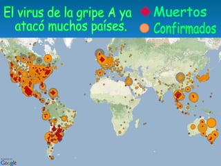 El virus de la gripe A ya atacó muchos países. Muertos Confirmados 