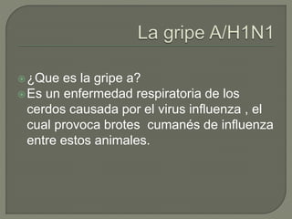 ¿Que es la gripe a?
Es un enfermedad respiratoria de los
cerdos causada por el virus influenza , el
cual provoca brotes cumanés de influenza
entre estos animales.
 