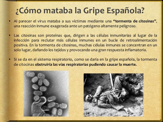Imagen con una explicación sobre cómo mataba la gripe española de 1918, a través de una tormenta de citosinas que obstruía las vías respiratorias