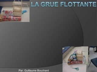 La grue flottante  Par: Guillaume Bouchard 