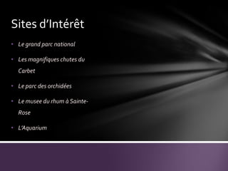 <<L’île papillon>>