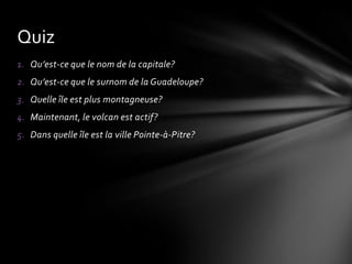 BasseTerres: beaucoup de plantations de bananes