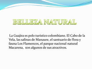 BELLEZA NATURAL    La Guajira es polo turístico colombiano. El Cabo de la Vela, las salinas de Manaure, el santuario de flora y fauna Los Flamencos, el parque nacional natural Macarena,  son algunos de sus atractivos.