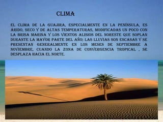 climaEl clima de La Guajira, especialmente en la península, es árido, seco y de altas temperaturas, modificadas un poco con la brisa marina y los vientos alisios del noreste que soplan durante la mayor parte del año; las lluvias son escasas y se presentan generalmente en los meses de septiembre a noviembre, cuando la Zona de Convergencia Tropical ,se desplaza hacia el norte.