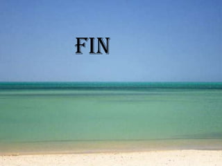 fin