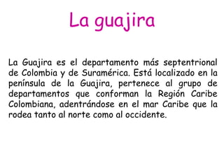 La guajira La Guajira es el departamento más septentrional de Colombia y de Suramérica. Está localizado en la península de la Guajira, pertenece al grupo de departamentos que conforman la Región Caribe Colombiana, adentrándose en el mar Caribe que la rodea tanto al norte como al occidente. 