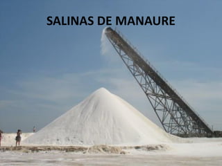 SALINAS DE MANAURE
 