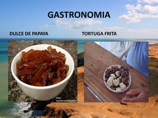 GASTRONOMIA
DULCE DE PAPAYA TORTUGA FRITA
 
