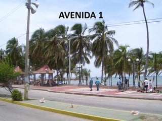 AVENIDA 1
 