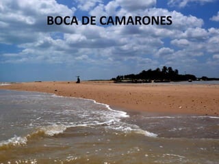 BOCA DE CAMARONES
 
