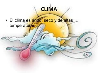 CLIMA
• El clima es árido, seco y de altas
temperaturas
 