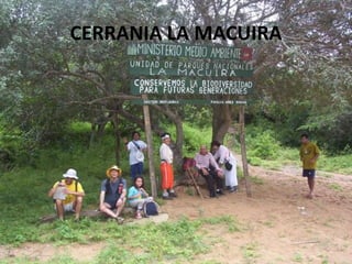 CERRANIA LA MACUIRA
 