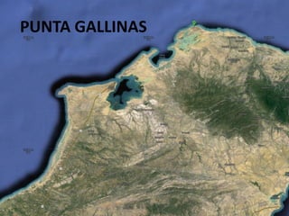PUNTA GALLINAS
 