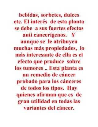 bebidas, sorbetes, dulces
etc. El interés de esta planta
se debe a sus fuertes efectos
    anti cancerígenos. Y
   aunque se le atribuyen
muchas más propiedades, lo
 más interesante de ella es el
  efecto que produce sobre
los tumores .. Esta planta es
    un remedio de cáncer
 probado para los cánceres
   de todos los tipos. Hay
 quienes afirman que es de
  gran utilidad en todas las
     variantes del cáncer.
 