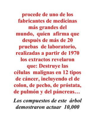 procede de uno de los
  fabricantes de medicinas
       más grandes del
 mundo, quien afirma que
    después de más de 20
  pruebas de laboratorio,
 realizadas a partir de 1970
   los extractos revelaron
      que: Destruye las
células malignas en 12 tipos
 de cáncer, incluyendo el de
colon, de pecho, de próstata,
de pulmón y del páncreas…
Los compuestos de este árbol
 demostraron actuar 10,000
 