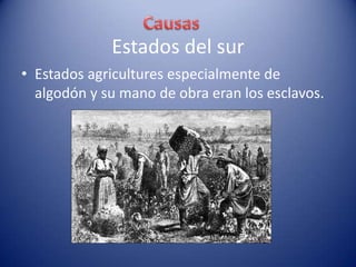 Estados del sur
• Estados agricultures especialmente de
algodón y su mano de obra eran los esclavos.