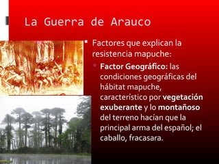 La Guerra de Arauco
         Factores que explican la
          resistencia mapuche:
           Factor Geográfico: las
            condiciones geográficas del
            hábitat mapuche,
            característico por vegetación
            exuberante y lo montañoso
            del terreno hacían que la
            principal arma del español; el
            caballo, fracasara.
 