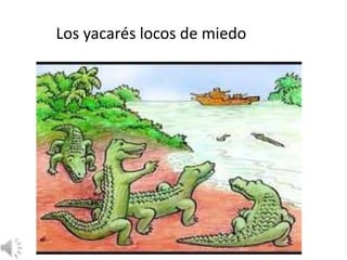 Los yacarés locos de miedo
 