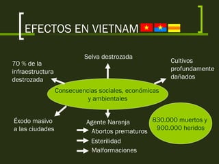 EFECTOS EN VIETNAM
Consecuencias sociales, económicas
y ambientales
70 % de la
infraestructura
destrozada
Selva destrozada
Cultivos
profundamente
dañados
Éxodo masivo
a las ciudades
Agente Naranja
Abortos prematuros
Esterilidad
Malformaciones
830.000 muertos y
900.000 heridos
 