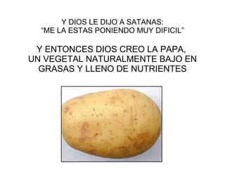 Y DIOS LE DIJO A SATANAS: “ME LA ESTAS PONIENDO MUY DIFICIL” Y ENTONCES DIOS CREO LA PAPA,  UN VEGETAL NATURALMENTE BAJO EN GRASAS Y LLENO DE NUTRIENTES 