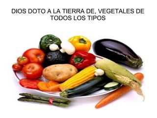 DIOS DOTO A LA TIERRA DE, VEGETALES DE TODOS LOS TIPOS 