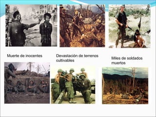 Muerte de inocentes Devastación de terrenos
cultivables
Miles de soldados
muertos
 