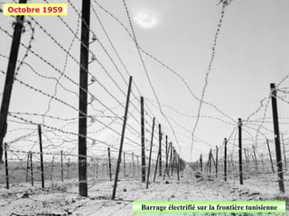 Octobre 1959




               Barrage électrifié sur la frontière tunisienne
 