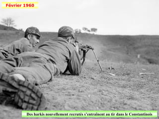 Février 1960




        Des harkis nouvellement recrutés s’entraînent au tir dans le Constantinois
 