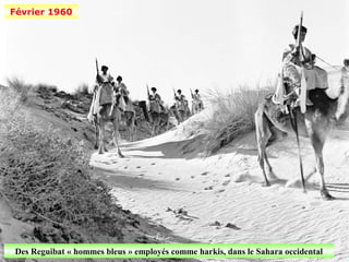 Février 1960




Des Reguibat « hommes bleus » employés comme harkis, dans le Sahara occidental
 