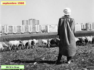 septembre 1960




  HLM à Oran
 