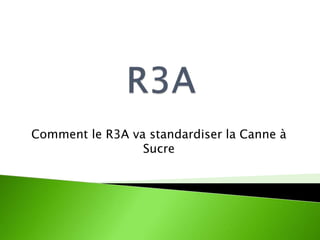 Comment le R3A va standardiser la Canne à
Sucre
 