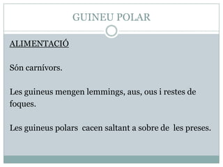 GUINEU POLAR
ALIMENTACIÓ
Són carnívors.
Les guineus mengen lemmings, aus, ous i restes de
foques.
Les guineus polars cacen saltant a sobre de les preses.

 