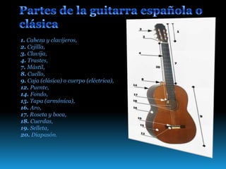 1. Cabeza y clavijeros,
2. Cejilla,
3. Clavija,
4. Trastes,
7. Mástil,
8. Cuello,
9. Caja (clásica) o cuerpo (eléctrica),
12. Puente,
14. Fondo,
15. Tapa (armónica),
16. Aro,
17. Roseta y boca,
18. Cuerdas,
19. Selleta,
20. Diapasón.
 