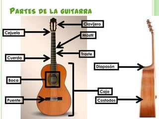 Partes de la guitarraClavijeroCejuelaMástilTrasteCuerdaDiapasónBocaCajaCostadosPuente