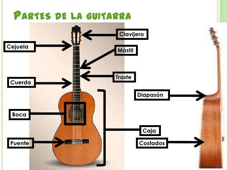 La guitarra