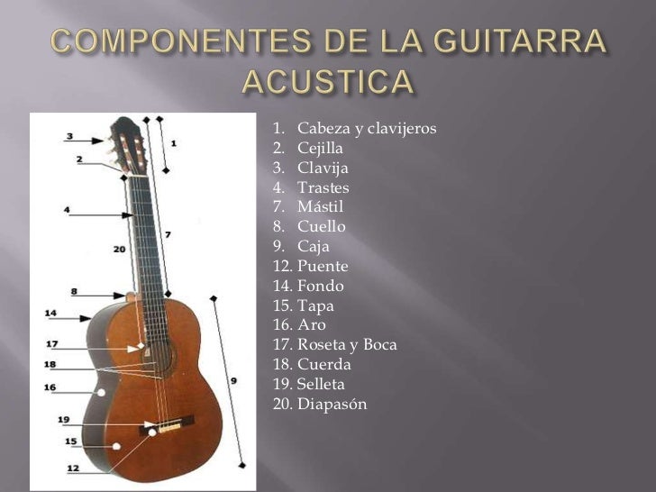La guitarra acustica y electrica