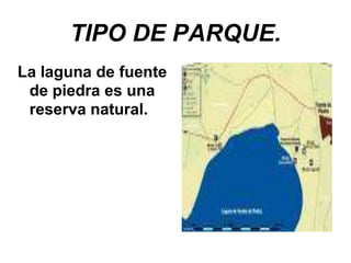 TIPO DE PARQUE.
La laguna de fuente
de piedra es una
reserva natural.
 