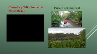 Consulta pública humedal
Matusaragatì
Paisaje del humedal
 