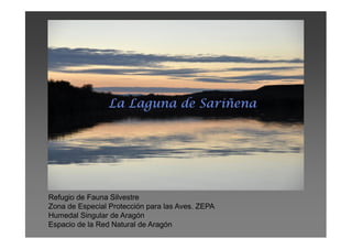 Refugio de Fauna Silvestre
Zona de Especial Protección para las Aves. ZEPA
Humedal Singular de Aragón
Espacio de la Red Natural de Aragón
 
