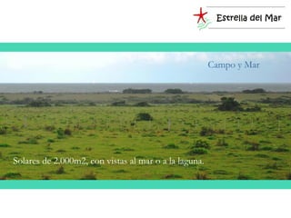 Campo y Mar



Zona de importantes
emprendimientos


 Solares de 2.000m2, con vistas al mar o a la laguna.
 