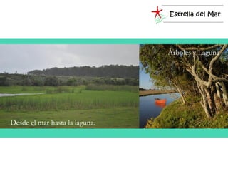 Árboles y Laguna



Zona de importantes
emprendimientos


 Desde el mar hasta la laguna.
 