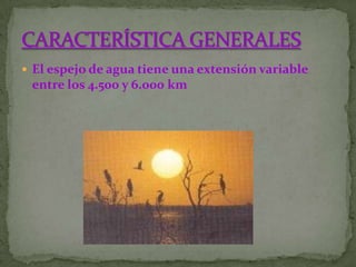  El espejo de agua tiene una extensión variable
 entre los 4.500 y 6.000 km
 