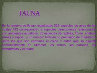 En la reserva se llevan registradas 329 especies de aves de las
cuales 142 corresponden a especies directamente relacionadas
con ambientes acuáticos, 35 especies de reptiles, 16 de anfibios
(ranas y sapos), y un número todavía no precisado de mamíferos
entre los que son comunes el coipo o nutria que se explota
comercialmente en Miramar, los zorros, los hurones, las
comadrejas y el puma.
 