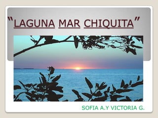 “LAGUNA MAR CHIQUITA”




           SOFIA A.Y VICTORIA G.
 